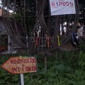 “Colori che parlano”: gli studenti del Federico II per una società che riconosce ogni dignità