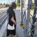 Girasole di memoria: il gesto silenzioso che riporta Corato al 12 luglio