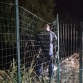 Corato, tentato furto in un’azienda agricola: i vigilantes mettono in fuga i malviventi