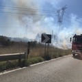 Incendio sulla provinciale 234, in azione i Vigili del Fuoco