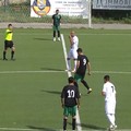 Eccellenza, Corato ultimo per via della penalizzazione. Domenica a Galatina