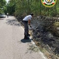 Sedato principio d'incendio al bosco  "Cornacchiello "