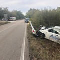 Auto fuori strada sulla Corato - Poggiorsini