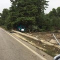 Incidente stradale sulla Rivoluzione, auto contro un albero