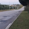 Forza Italia denuncia il degrado della SP2 verso Corato: «Interventi a metà e manutenzioni inefficaci»