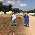 Agrididattica e orto dei nonni, la Puglia promuove l'agricoltura sociale