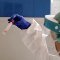 Coronavirus, 302 nuovi casi e un decesso in provincia di Bari