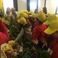 Mense scolastiche e ospedaliere, l'ortofrutta sarà a Km 0