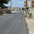 Via Belvedere, tre gatti investiti in una settimana