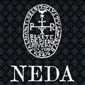 Neda: una voce per la divulgazione della storia locale