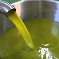 Cultivar Coratina tra i dieci olii migliori al mondo dell'  "Evoleum 2023 "