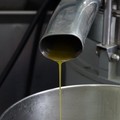 Impianto biometano dalla sansa a Terlizzi, Oliveti Terre di Bari «Pronti a investire»