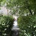 Degrado in Via Don Minzoni :  "È uno schifo! ", l'appello dei cittadini per una pulizia urgente
