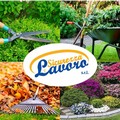 Lavoro e Sicurezza Srl, manutenzione professionale e cura di aree verdi e giardini pubblici e privati
