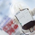 Grave carenza di sangue, Lorusso: «Donate in qualsiasi struttura trasfusionale»