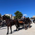Sfilata di carrozze e attacchi d'epoca: la XXVIII Edizione è un successo