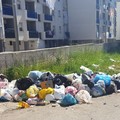 Abbandono rifiuti, il Sindaco: «Nessuna tolleranza»