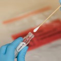 Coronavirus, buone notizie dal Comune: altri due pazienti positivi sono guariti