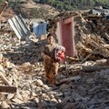 Terremoto in Marocco: la vicinanza della Chiesa in Italia; 300mila euro per le prime necessità