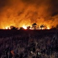 Emergenza incendi boschivi, dichiarato stato di crisi in Puglia