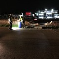 Incidente sulla sp 231, due veicoli coinvolti