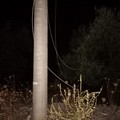 Tentato furto di cavi elettrici sventato nella notte