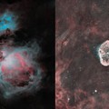 Finissage per “Murgia Stellata”: ultimo appuntamento al Museo della Città a Corato