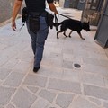 Controlli straordinari della Polizia di Stato a Corato: 80 persone identificate