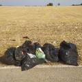 «Uno specchio amaro del nostro territorio»: La Murgia diventa punto di raccolta abusivo