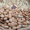 Torna a Corato la Festa della Mandorla: gusto, tradizione e territorio per la 9ª edizione