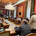 «Una battaglia che riguarda tutti»: chiesto lo stato di crisi per l’olio