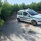 Sventato furto di pesche a Corato: una persona fermata e denunciata