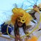 Al via le iscrizioni per la prima edizione del Carnevale Estivo di Molfetta & Corato