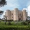 Il Castel del Monte secondo Fallacara e Occhinegro