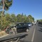 Auto fuori strada sulla Corato–Ruvo