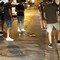 Un serpente a spasso su via Dante