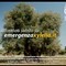 Emergenza Xylella: insieme per salvaguardare un patrimonio unico al mondo
