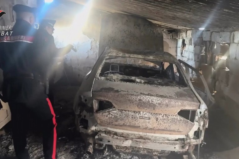 L'operazione dei Carabinieri