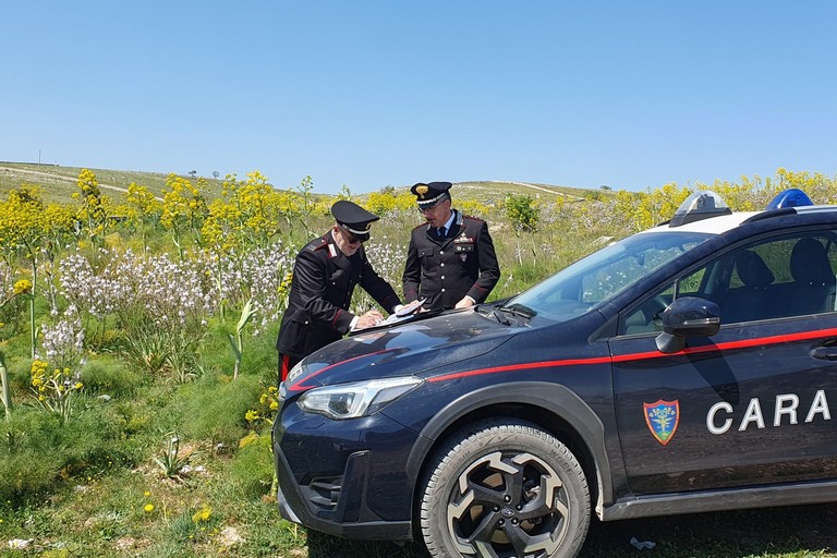 I Carabinieri Forestali
