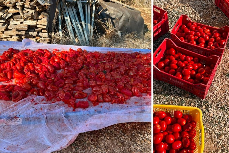 Pomodoro