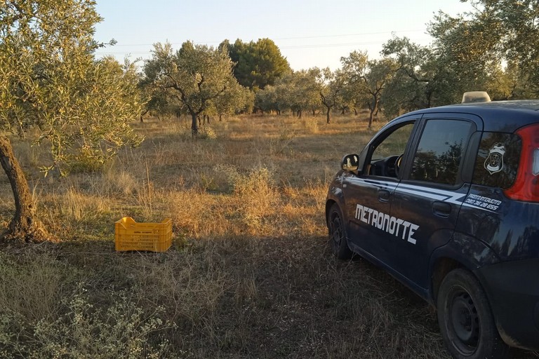 L'intervento della Metronotte