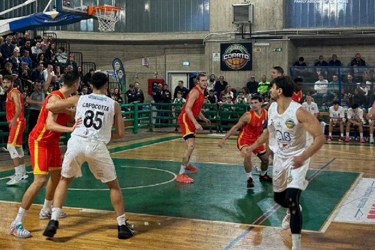 Fas Basket Corato