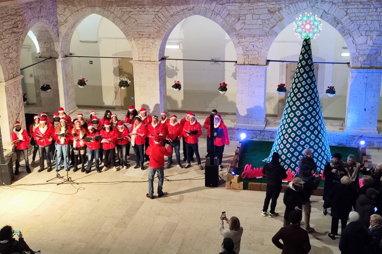 Albero all'uncinetto. <span>Foto Stefano Procacci</span>