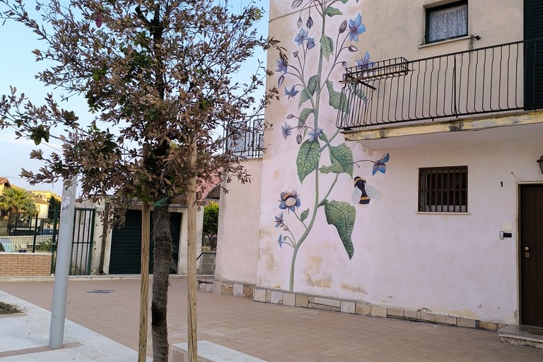 Alberi secchi in viale Po