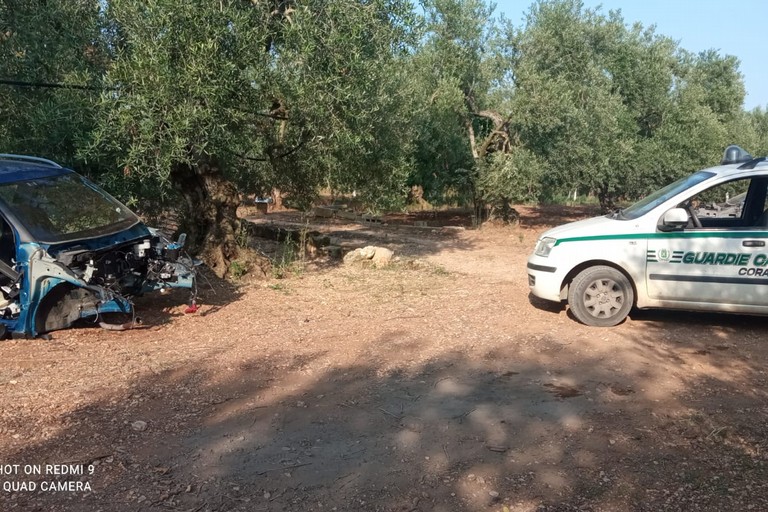 Scoperte scocche di automobili rubate in contrada Colonnella