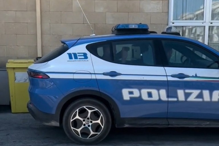 Il video pubblicato su TikTok