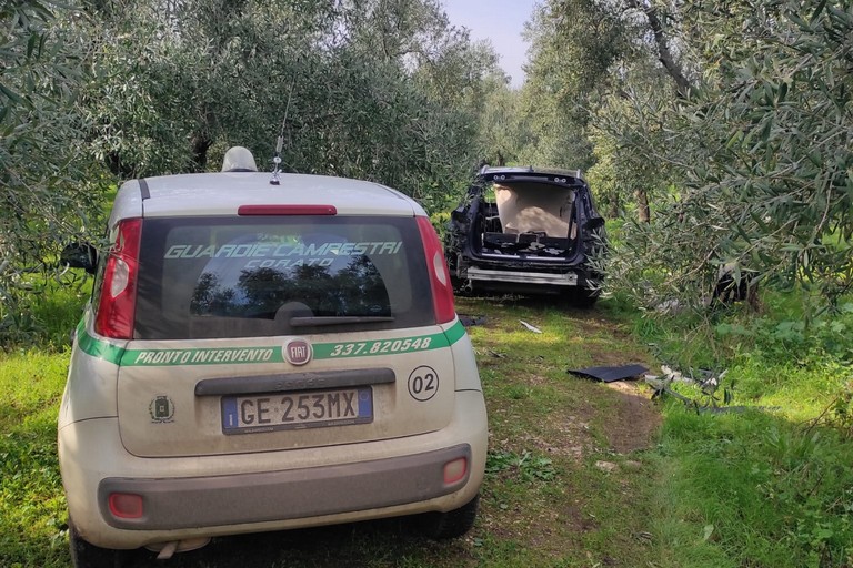 Guardie campestri auto rubate