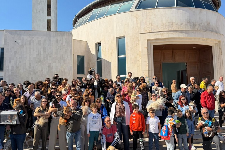 Benedizione degli animali a Corato: una giornata per riflettere sul loro valore