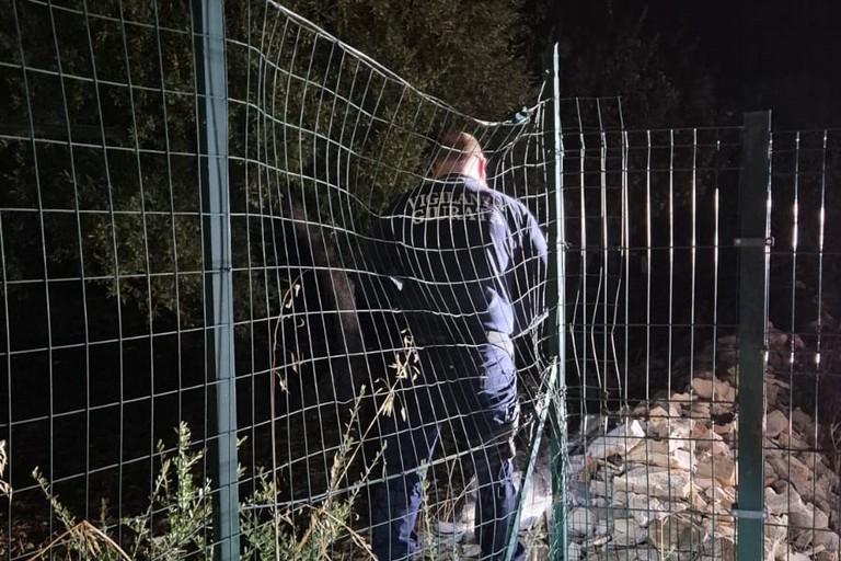 Tentato furto in un’azienda agricola