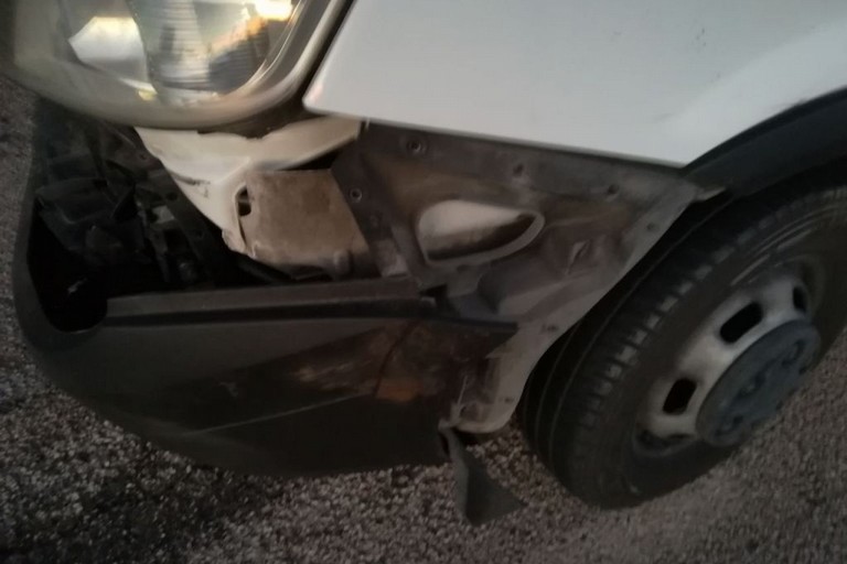 Incidente cinghiale